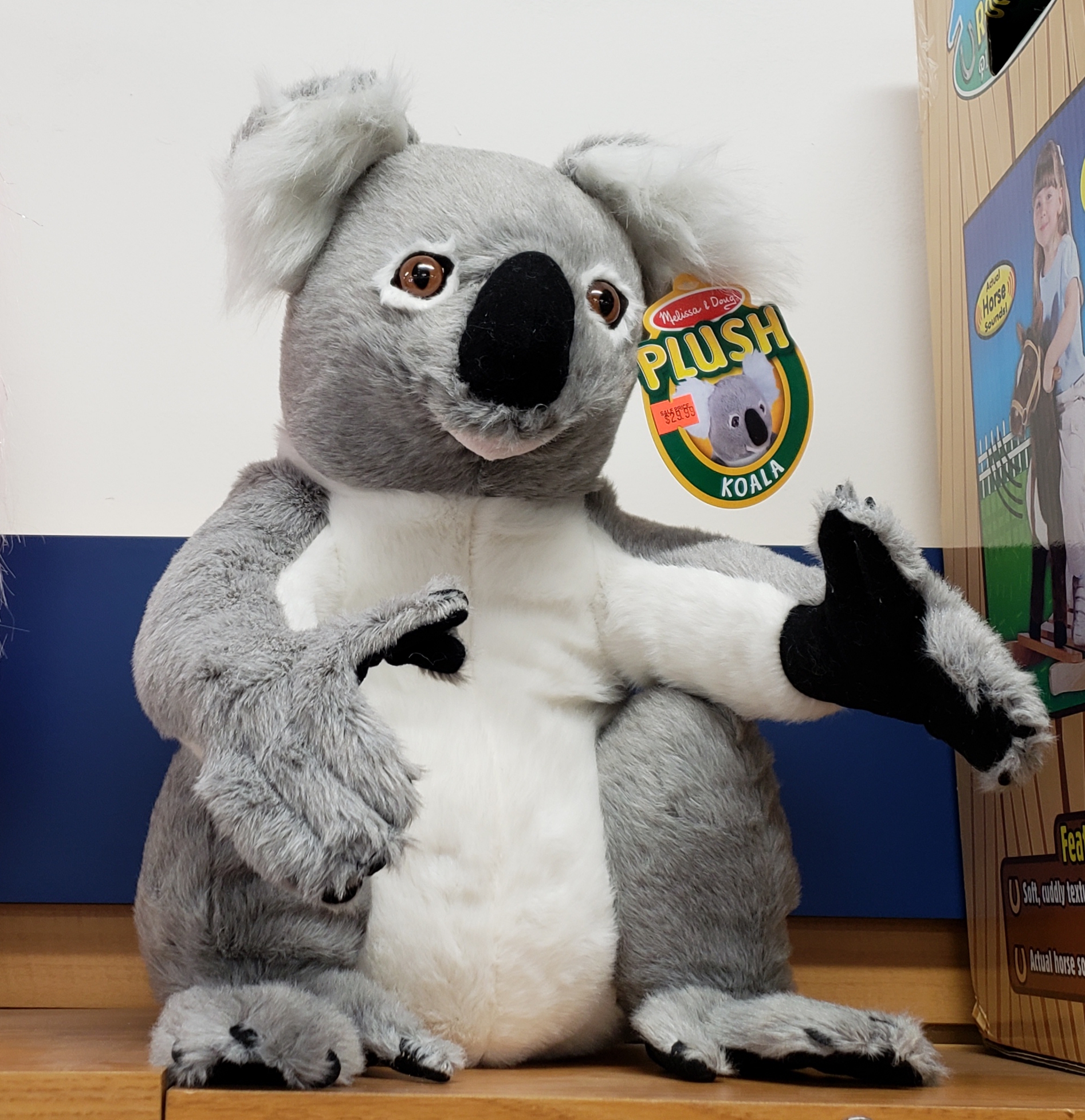 melissa and doug koala